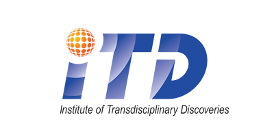 Institute of Transdisciplinary Discoveries